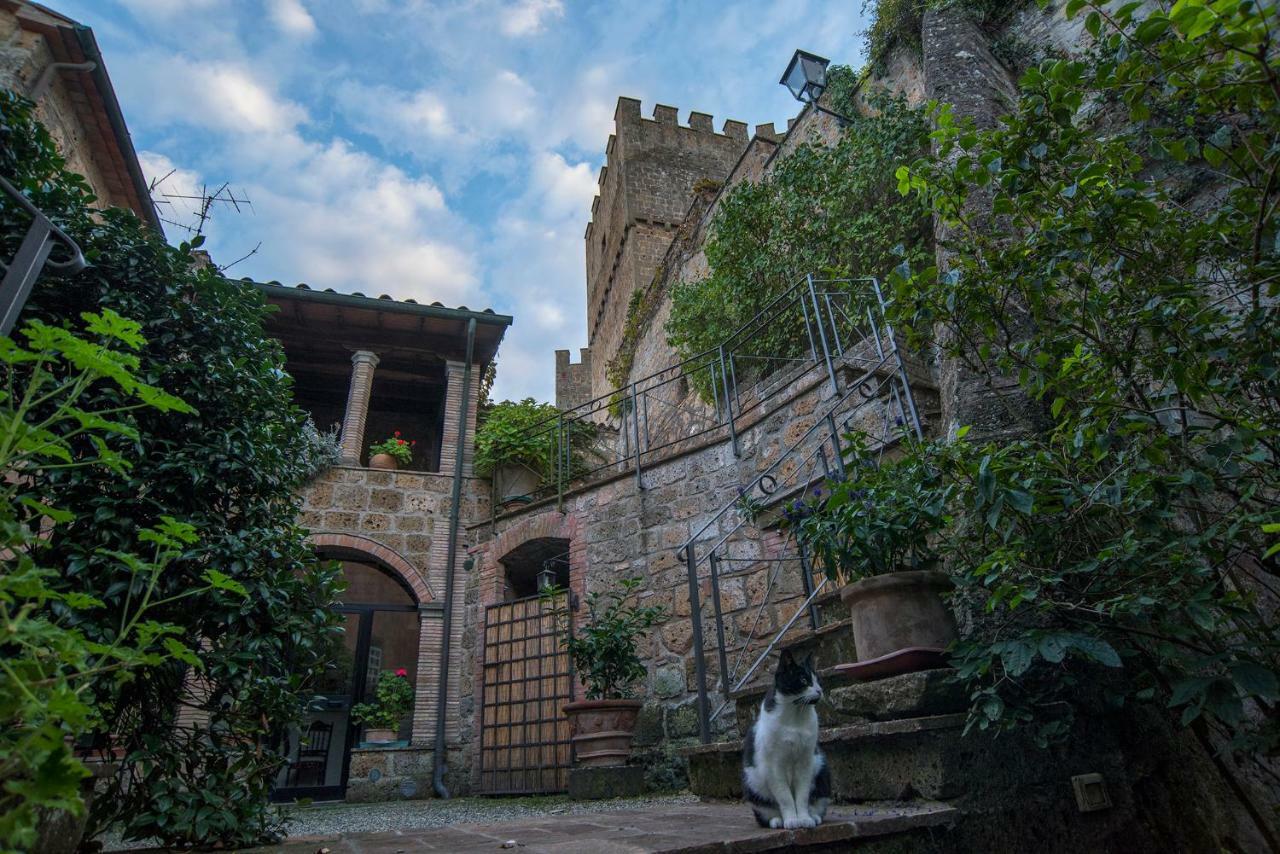 Castello Di Proceno Albergo Diffuso In Dimora D'Epoca Exterior photo